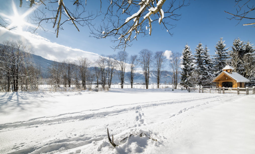 Winterwandern Schneeschuhwandern Sazburg Lungau